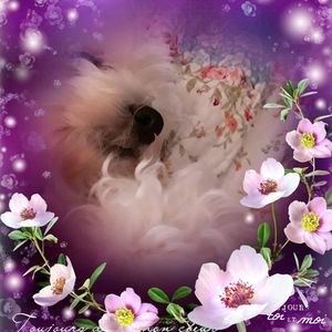 Meet your Posher, Mary ann